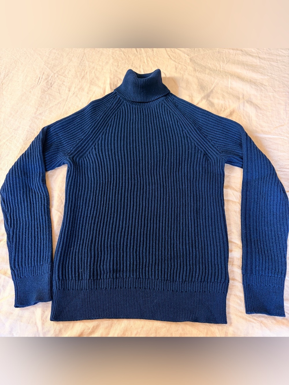 Zanone Virgin Wool Navy Turtle Neck Sweater Size 48 M